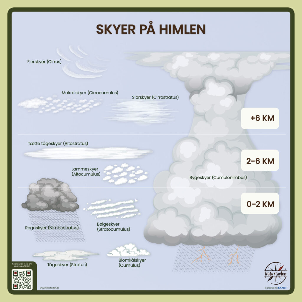 Skyer Ritual Skyer på himlen | Naturtavlen.dk