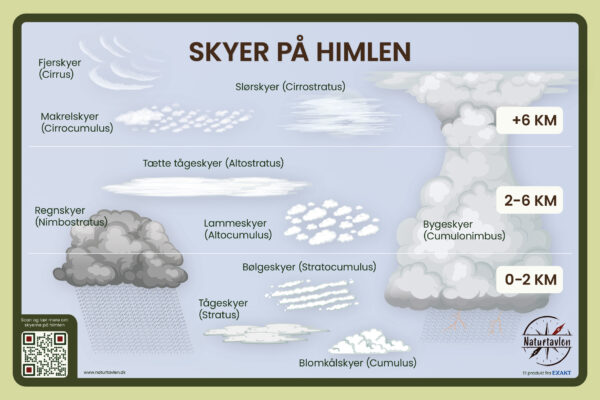 Skyformationer på himlen